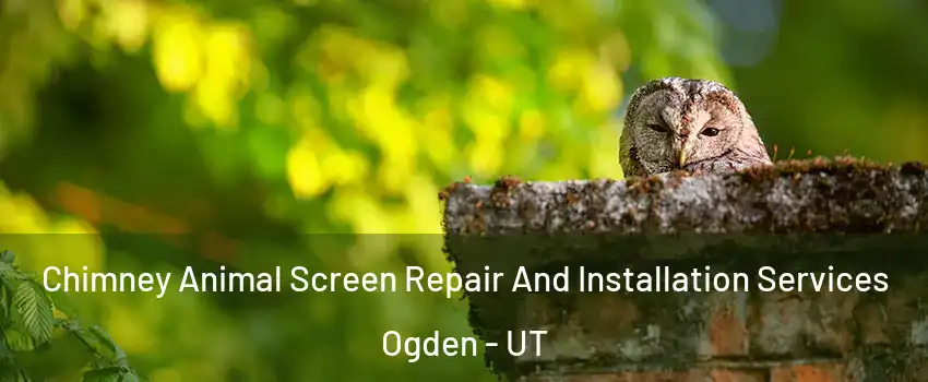  Chimney Animal Screen Repair And Installation Services Ogden - UT