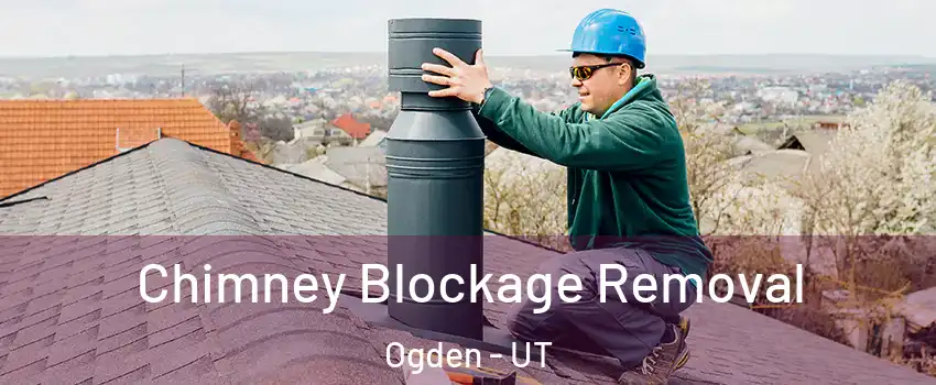  Chimney Blockage Removal Ogden - UT