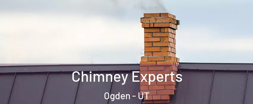  Chimney Experts Ogden - UT