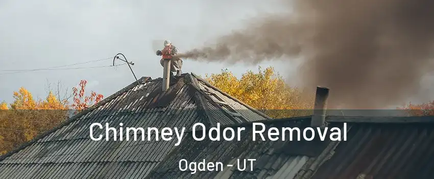  Chimney Odor Removal Ogden - UT