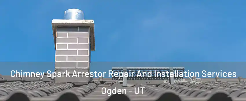  Chimney Spark Arrestor Repair And Installation Services Ogden - UT