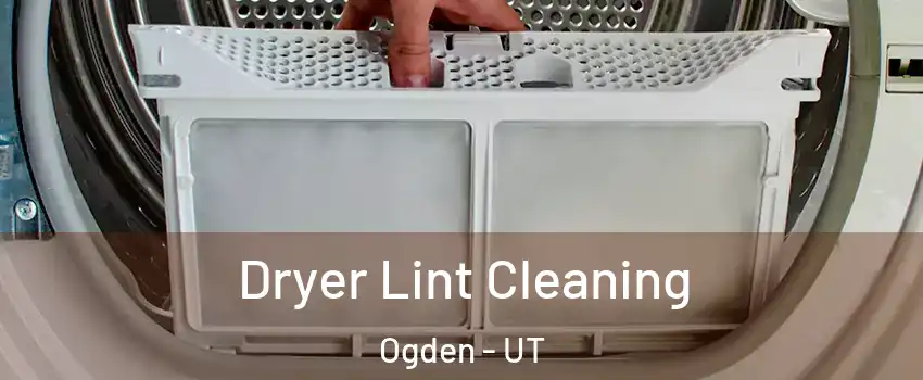  Dryer Lint Cleaning Ogden - UT