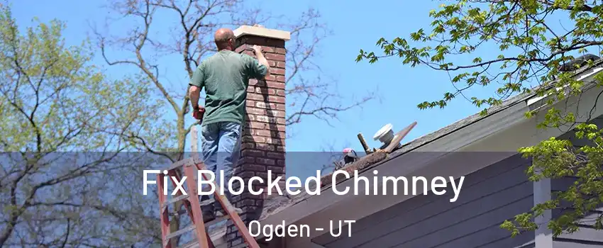  Fix Blocked Chimney Ogden - UT