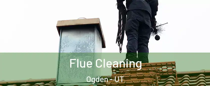  Flue Cleaning Ogden - UT