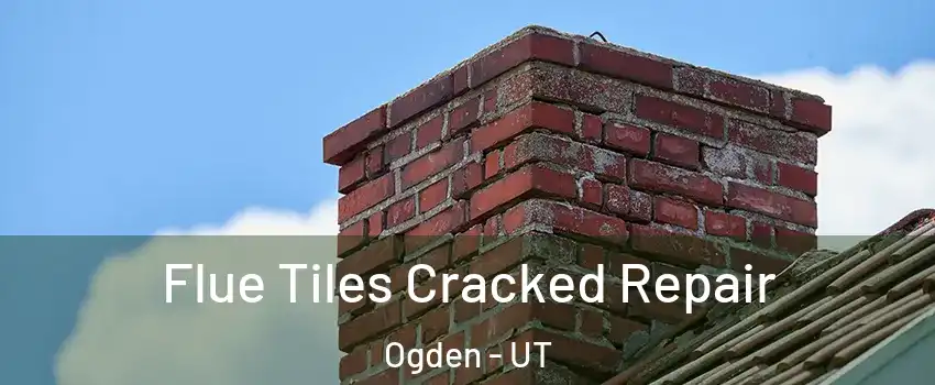  Flue Tiles Cracked Repair Ogden - UT