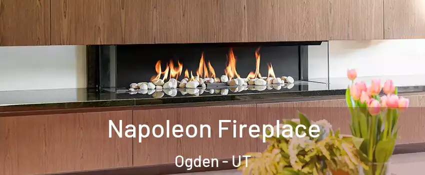  Napoleon Fireplace Ogden - UT